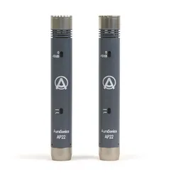 AuraSonics AP22-MP инструментальные студийные микрофоны, пара