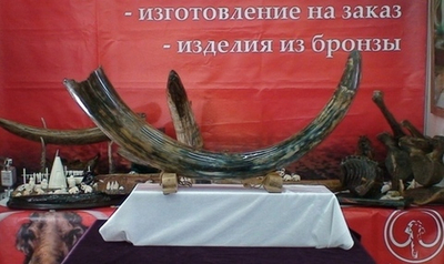"Млечный путь", бивень мамонта