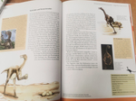 Lesen - Staunen - Wissen: Dinosaurier