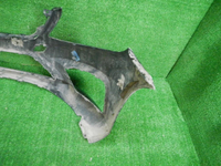 DSCN8331.JPG