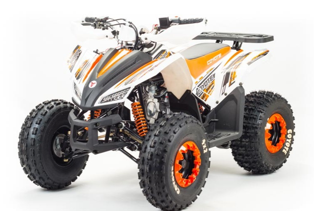 Квадроцикл MOTOLAND (МОТОЛЕНД) 125 COYOTE