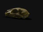 Модель череп кошки STL