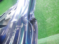 DSCN9711.JPG
