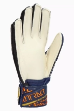 Вратарские перчатки Reusch Attrakt Solid Junior