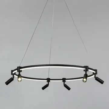 Подвесная люстра 75W 3000-6000K A2186SP-1BK черный Ring Arte Lamp