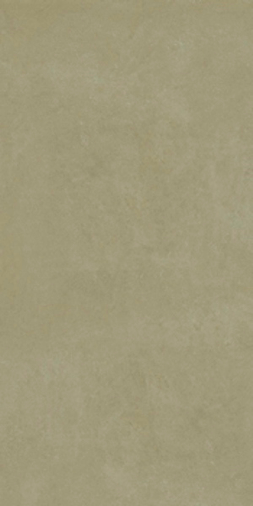 Imola Ceramica RTN6 MENTA12 RM 60x120