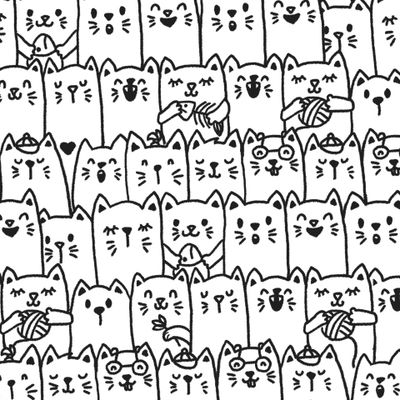 Котики