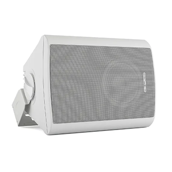CVGAUDIO NF5TW настенная акустическая система