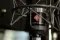 Neumann TLM 102 BK StudioSet