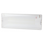 Аварийный светильник DPA-301-1-65 постоянный 40LED 3ч IP65 NiCD ЭРА Б0051843
