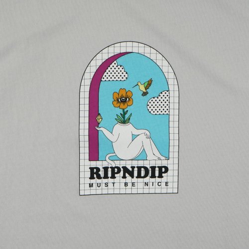 Футболка мужская Ripndip Window Daze артикул:RND6082 - купить в магазине Дайс