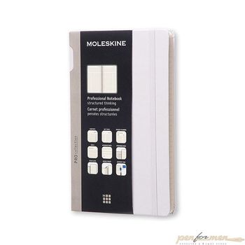 Блокнот Moleskine Professional Large 130х210 мм 240 страниц твердая обложка серый (PROPFNTB3HG24)