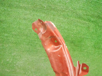 DSCN8255.jpg