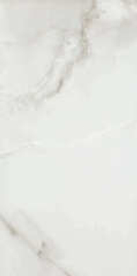 Pamesa Es Fenix Gris 60x120