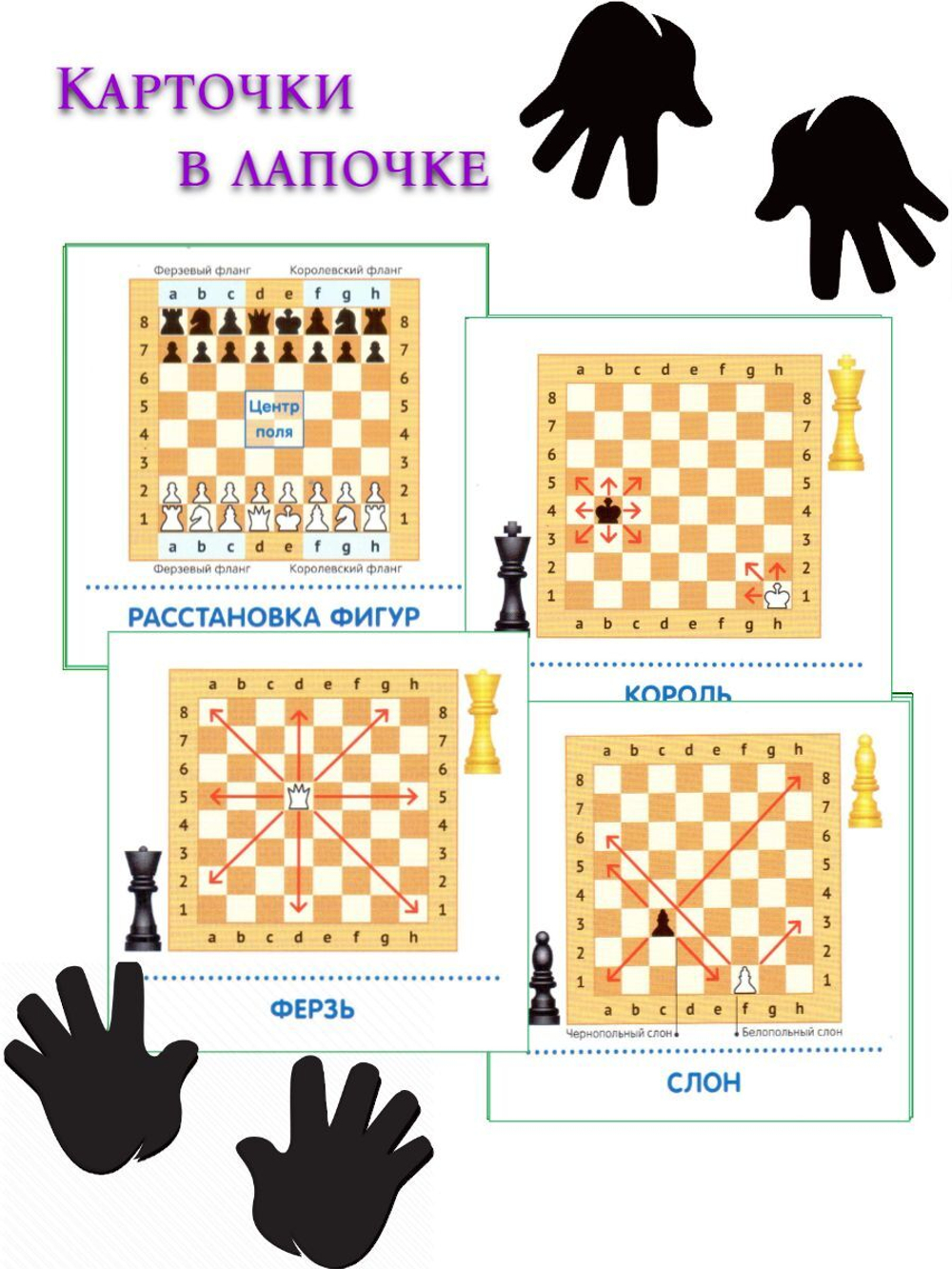 Карточки в лапочке. Финансы (33 карточки с заданием на обороте)