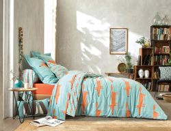 Постельное белье 1.5 спальное Blanc des Vosges Mr Fox Celadon