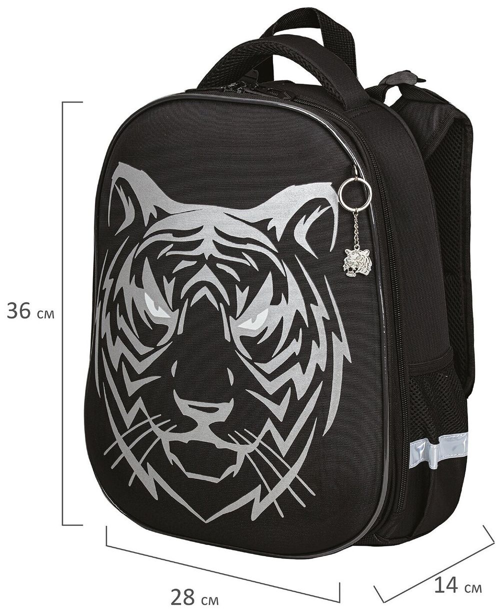 Ранец BRAUBERG SHINY, 2 отделения, "Tiger", СВЕТЯЩИЙСЯ РИСУНОК, 36х28х14 см, 270698