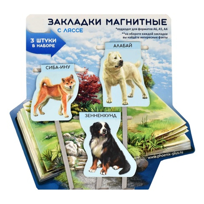 Набор закладок-ляссе магнитных для книг