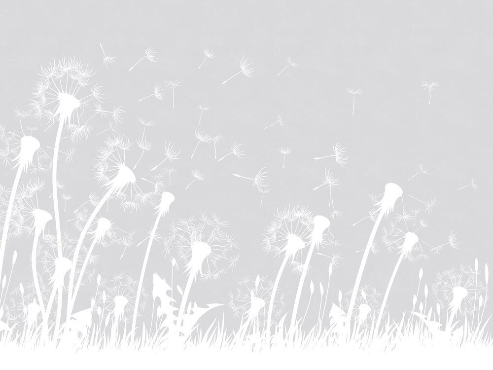 Коллекция Flower dreams 2