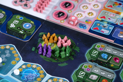 Федерация. Делюкс-издание-16215-crowdgames.ru-18