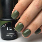 LUXIO VERT