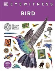 Bird - Eyewitness
