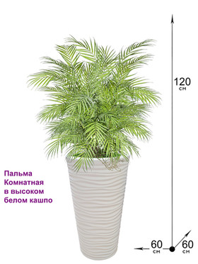 Искусственная Пальма комнатная 120 см в высоком белом кашпо