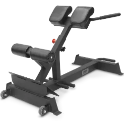 Гиперэкстензия BRONZE GYM PARTNER AL-317