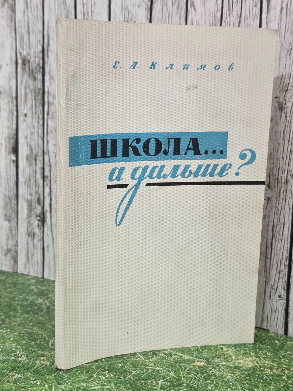 Е.А.Климов. Школа...а дальше?