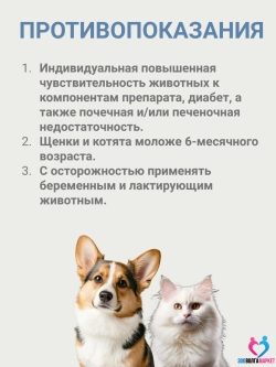 Зинтирил 15 мг от аллергии для кошек и собак, 10 таблеток