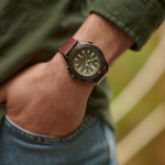 Мужские наручные часы Timex TW2V04000