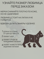 Платье для кошек