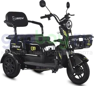 Электротрицикл SIBERTON S1 2000W (60V/21Ah) двухместный фото №6