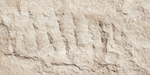 Devine Stone