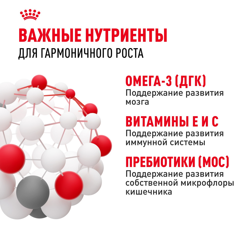 Royal Canin Maxi Puppy Макси Паппи Влажный корм для щенков крупных пород в возрасте до 15 месяцев 100г