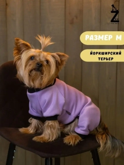 Комбинезон для собак кошек сфинкс кофта костюм для животных
