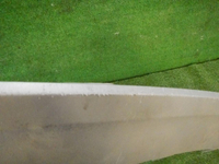 DSCN1224.jpg
