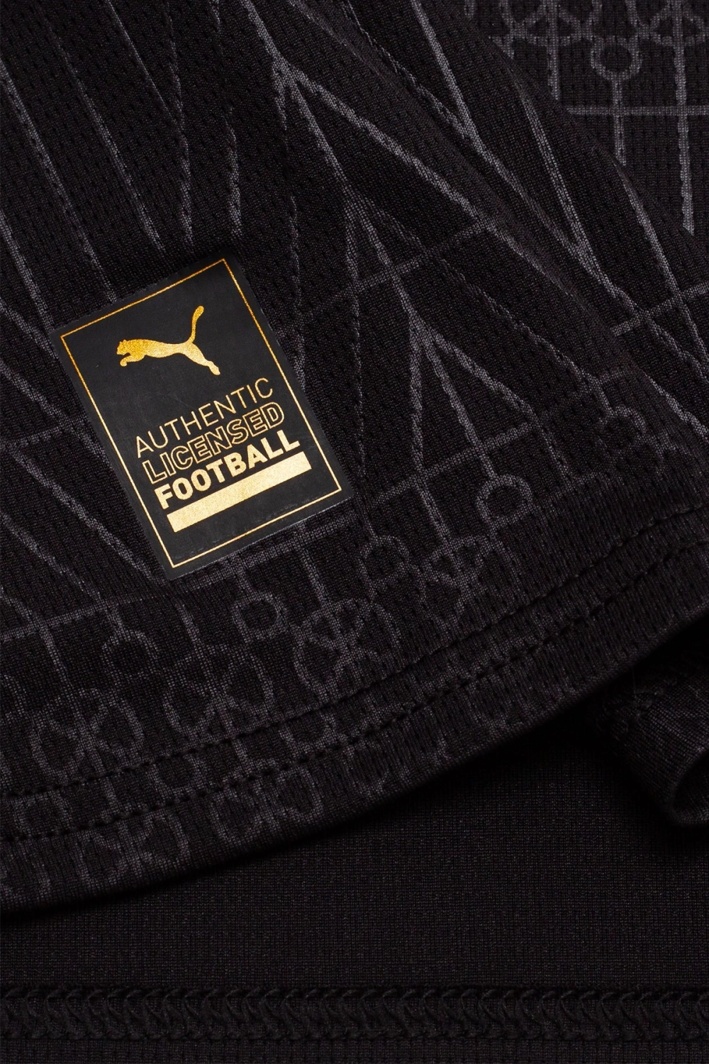 Футболка Puma Borussia Dortmund 25/26 Special Edition - черный