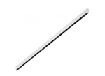 DL18515S121W36.34.2000BB
