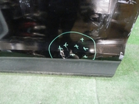 DSCN2308.JPG