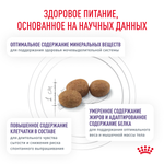 Royal Canin Neutered Satiety Balance Ньютрид Сэтайети Бэлэнс Корм сухой для взрослых котов и кошек с момента стерилизации до 7 лет 3,5кг