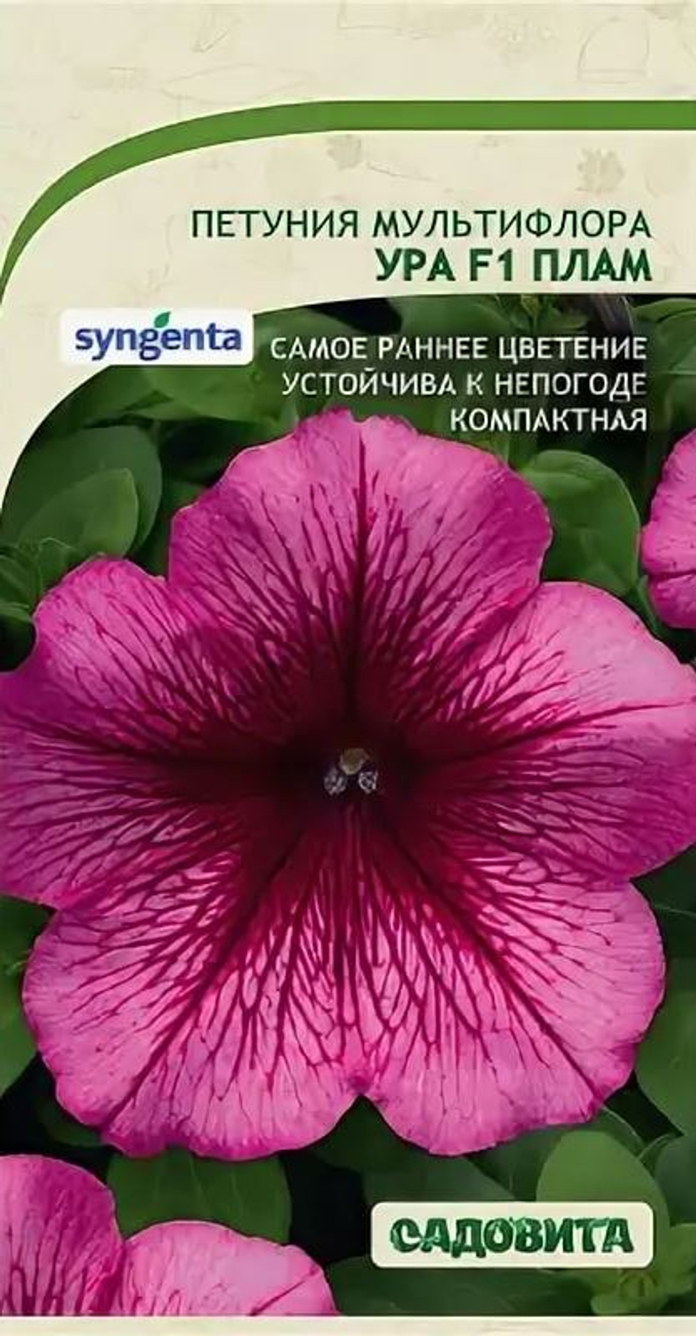 Петуния Ура F1 Плам мультифлора 7др Syngenta/Садовита