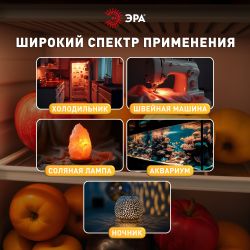 Лампа накаливания ЭРА T26-25-E14-230 25Вт 230В для холодильника и швейной машины цветная коробка Е14 | Лампы накаливания Для бытовой техники