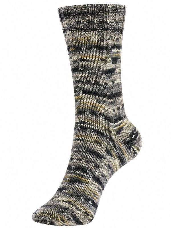 Пряжа Austermann (Аустерманн) Fortissima 6-fach Gekko / уп.10 мот. по 150 г, 410 м, 93056-99/223