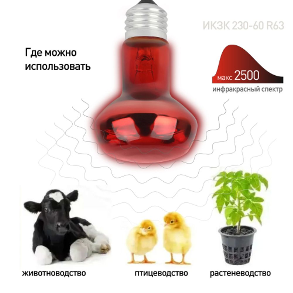 Термоизлучатель инфракрасный зеркальный ЭРА ИКЗК 230-60 R63 E27 для курятника цыплят птиц животных/для обогрева 2 шт | Инфракрасные лампы