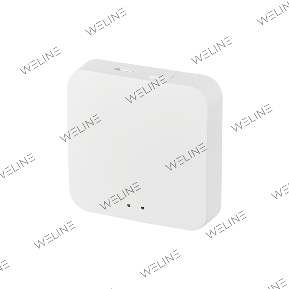 Gateway ZigBee 3.0 Tuya Smart Life LAN (50pcs) Cordless Wi-Fi