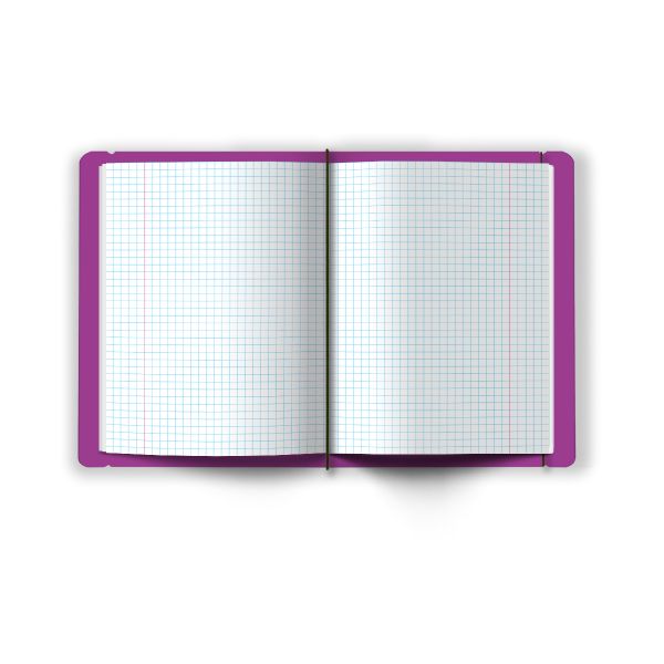 Тетрадь общая в съёмной пластик. обложке на резинке, тиснение фольгой, 500 мкр, A5+ 48 л. папка 65 г/м², белизна 100%, 4 шт, клетка, 000678 Пурпурная, Светоч ТЕТ48-001