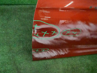 DSCN9564.JPG