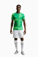 Вратарская футболка Nike Gardien VI Goalkeeper - зеленый