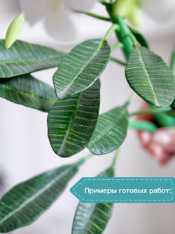 Молд пластиковый Claycraft by DECO для листа Плюмерии (молд F)